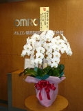 2008年度上期、オムロン�IAB代理店全国売上高No1を獲得いたしました